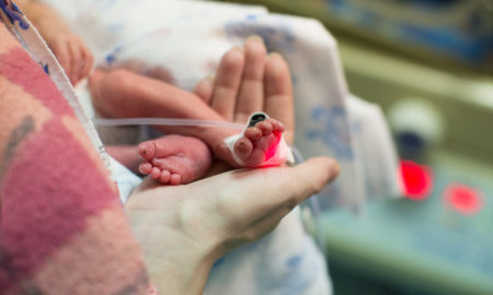 cerebral palsy, premature infants