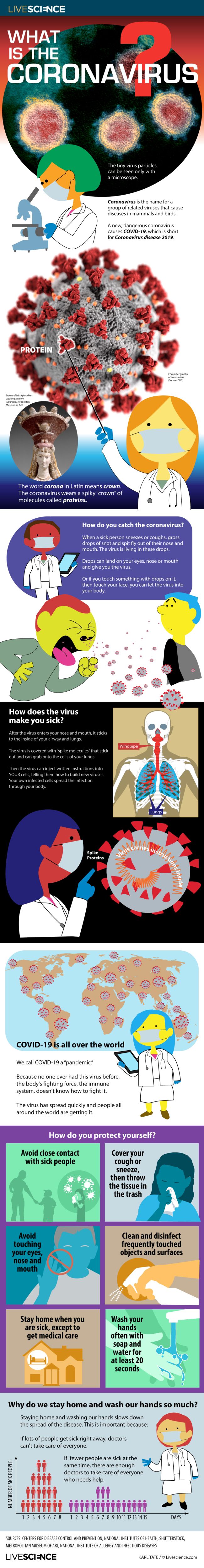 coronavirus