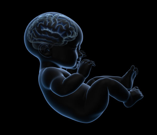 Hypoxic Ischemic Encephalopathy