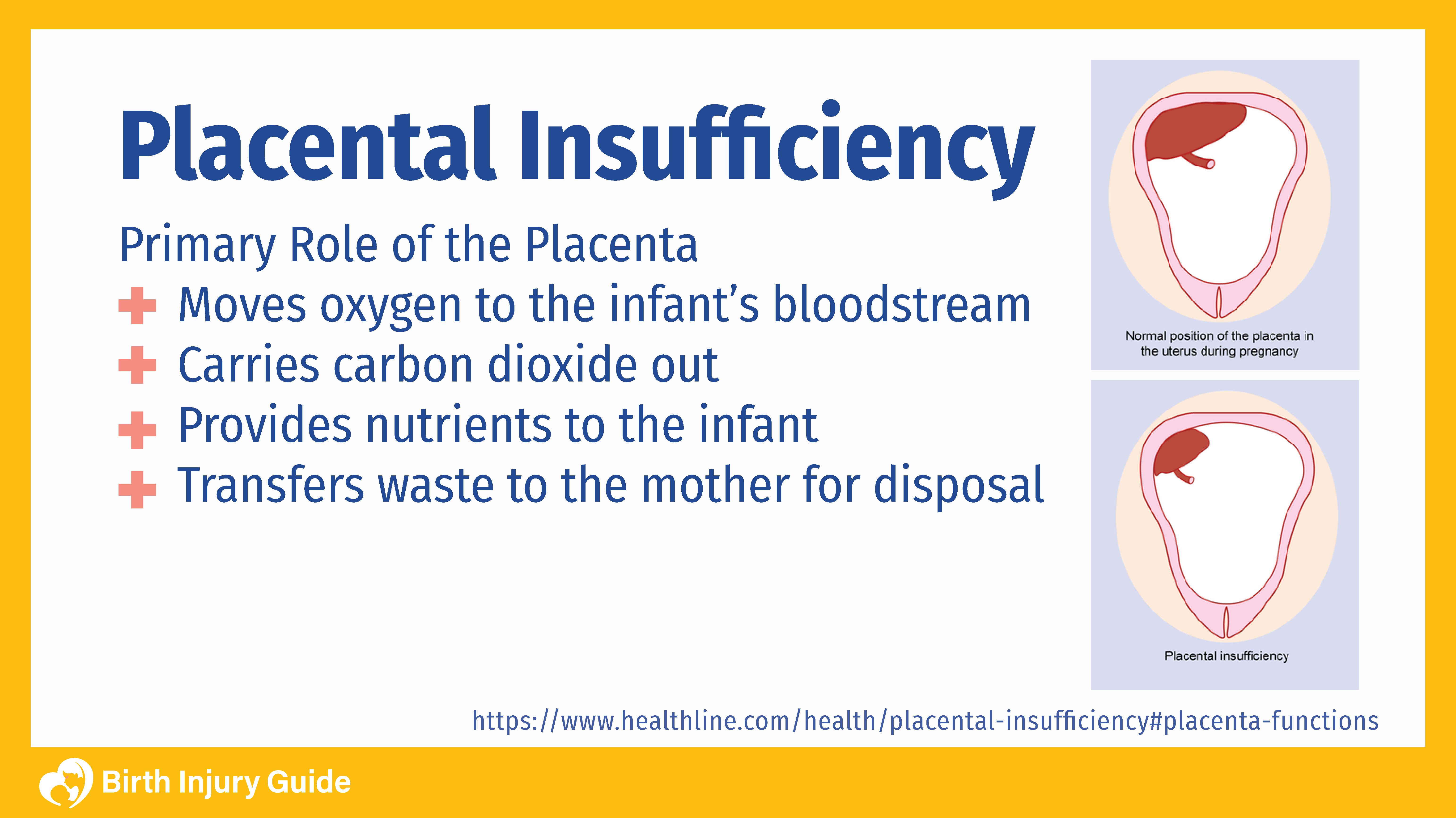 placenta with insufficiency and primary roles of the placenta