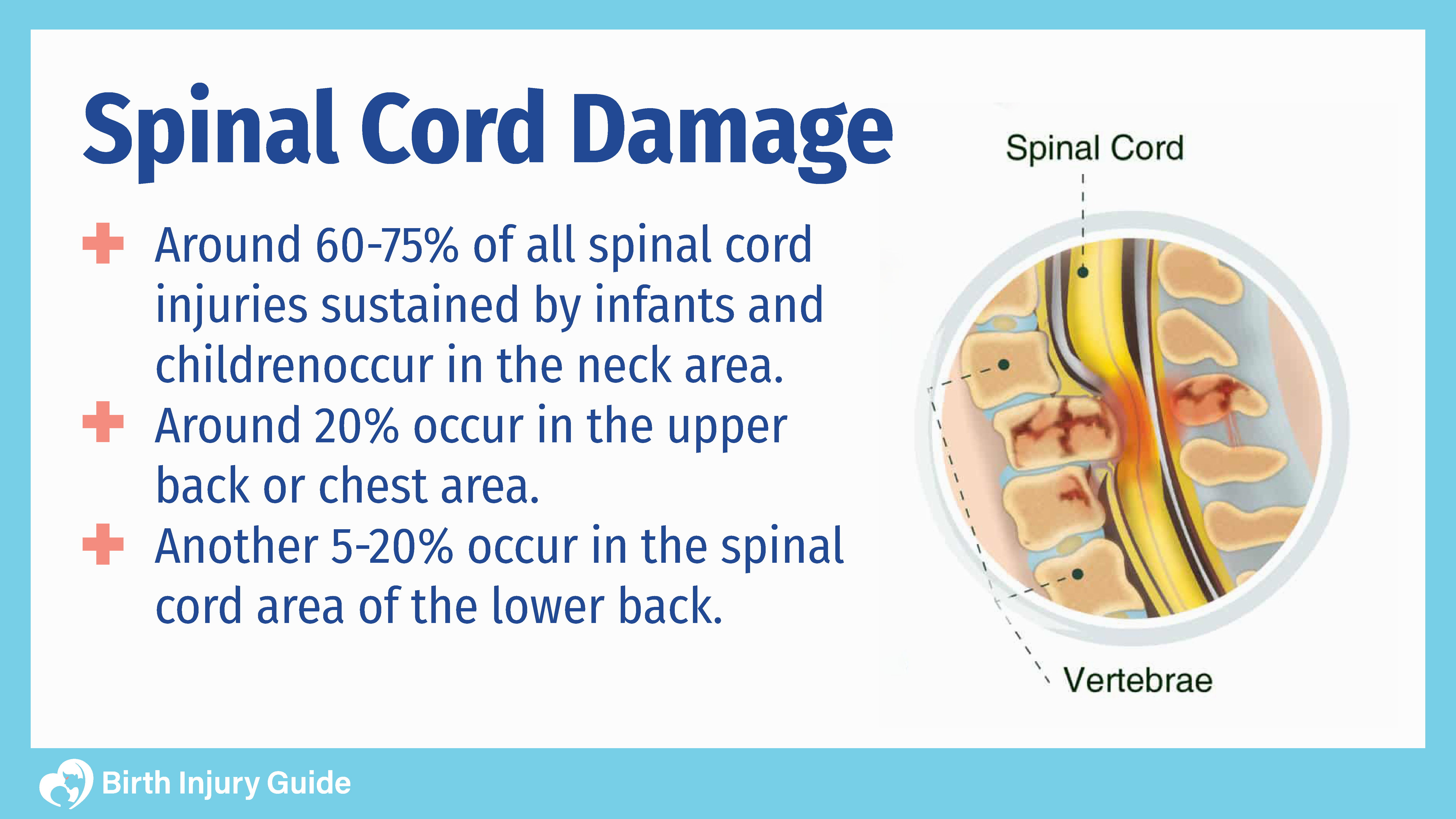 infant skull fractures